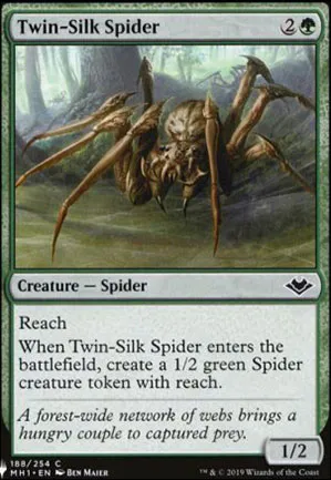 Araignée jumesoie