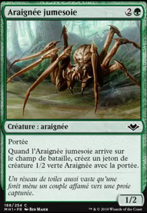 Araignée jumesoie