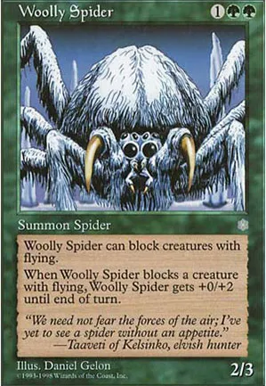Araignée laineuse