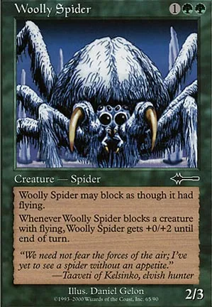 Araignée laineuse
