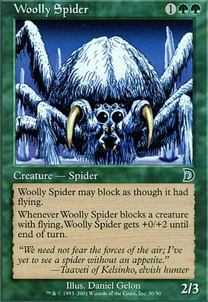 Araignée laineuse
