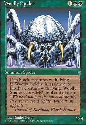 Araignée laineuse