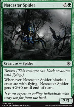 Araignée lanceuse de rets
