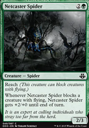 Araignée lanceuse de rets