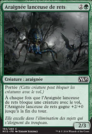 Araignée lanceuse de rets