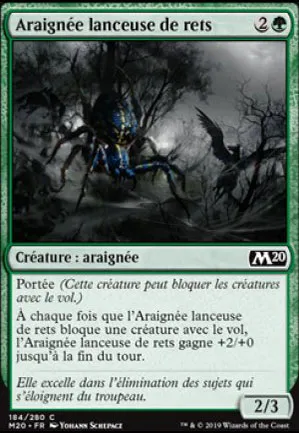 Araignée lanceuse de rets
