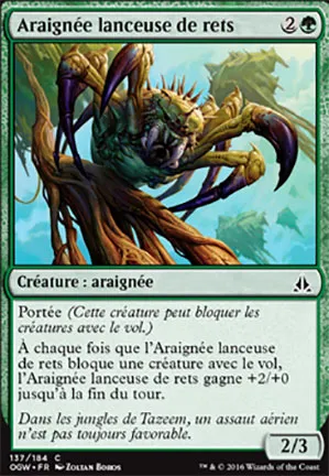 Araignée lanceuse de rets