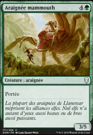 Araignée mammouth