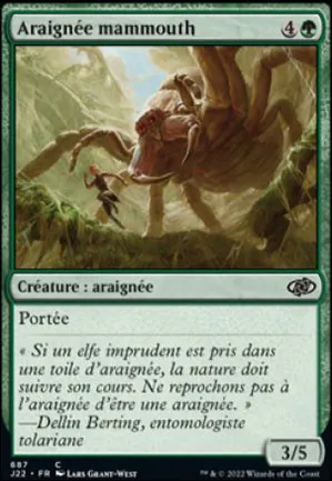 Araignée mammouth