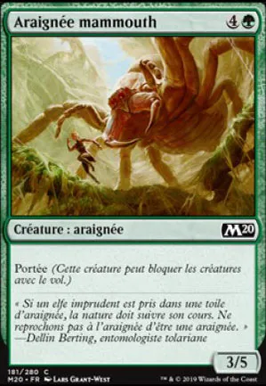 Araignée mammouth