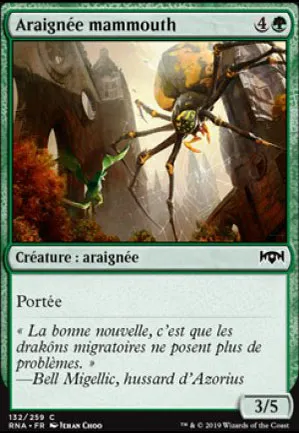 Araignée mammouth