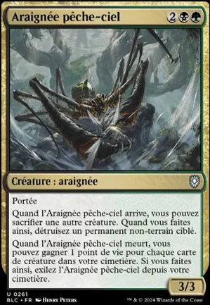 Araignée pêche-ciel