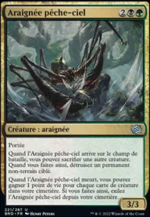 Araignée pêche-ciel