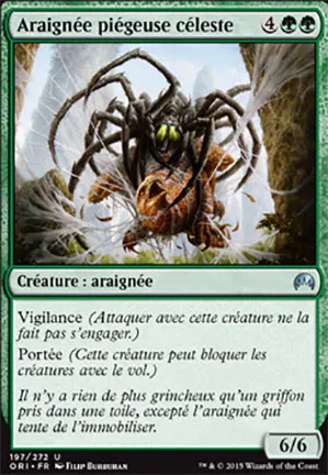 Araignée piégeuse céleste