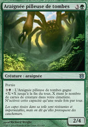 Araignée pilleuse de tombes
