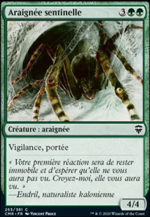 Araignée sentinelle