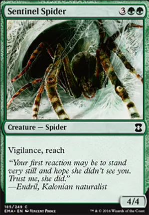 Araignée sentinelle