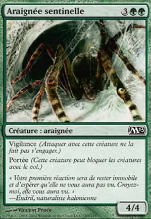 Araignée sentinelle