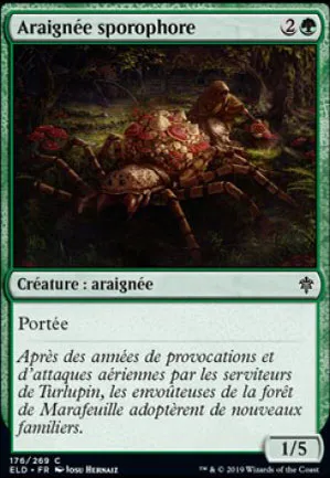 Araignée sporophore