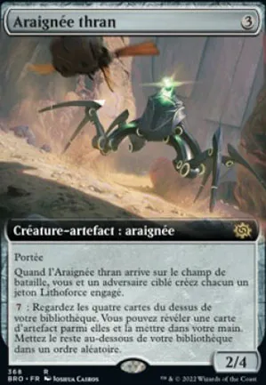 Araignée thran