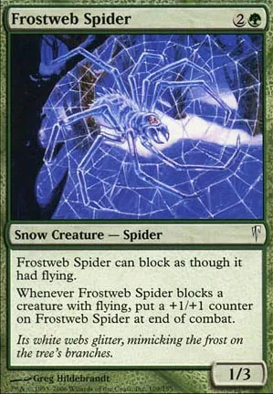 Araignée toilegivre