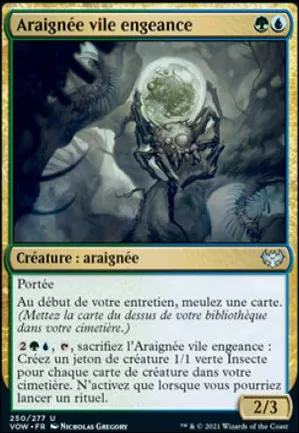 Araignée vile engeance