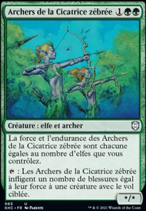 Archers de la Cicatrice zébrée