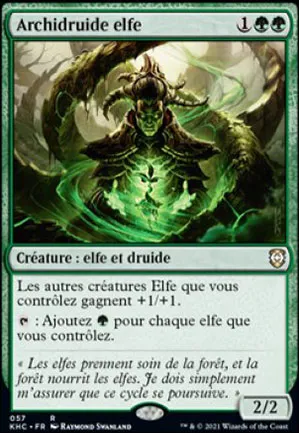 Archidruide elfe