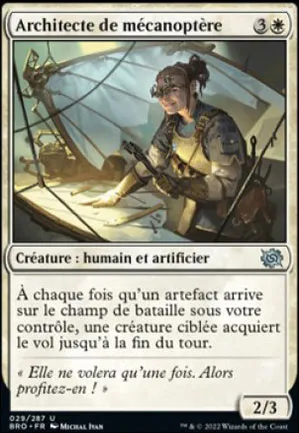 Architecte de mécanoptère