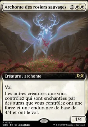 Archonte des rosiers sauvages