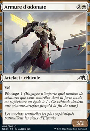 Armure d'odonate