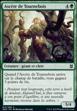 Ascète de Tournebois