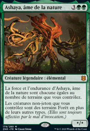 Ashaya, âme de la nature