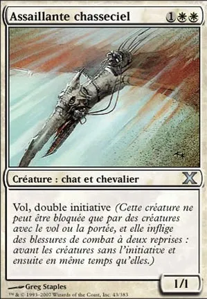 Assaillante chasseciel