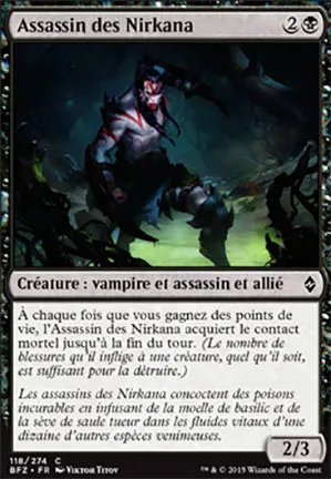 Assassin des Nirkana