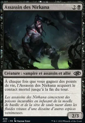 Assassin des Nirkana