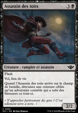 Assassin des toits