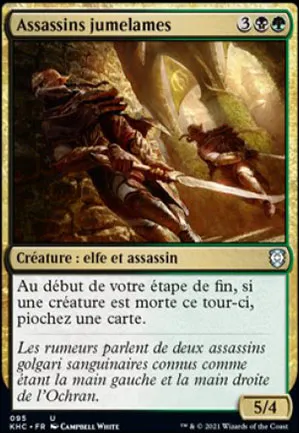 Assassins jumelames