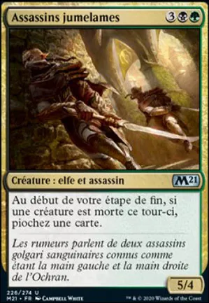Assassins jumelames