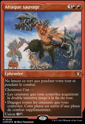 Attaque sauvage