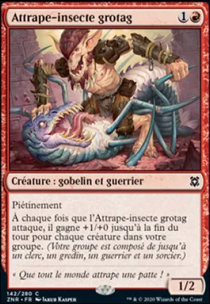 Attrape-insecte grotag