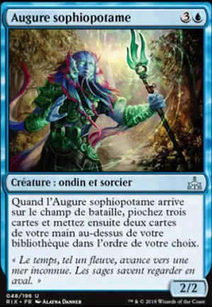 Augure sophiopotame