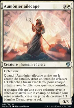 Aumônier ailecape