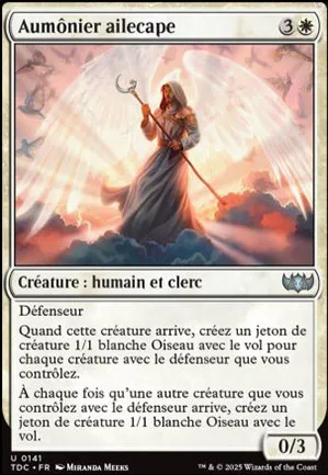 Aumônier ailecape