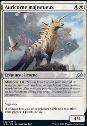 Auricorne majestueux
