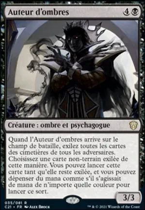 Auteur d'ombres