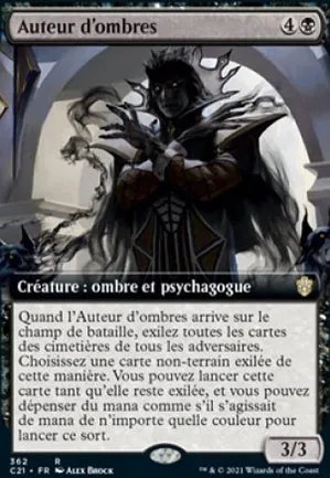 Auteur d'ombres