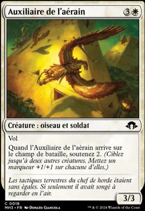 Auxiliaire de l'aérain