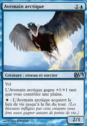 Avemain arctique