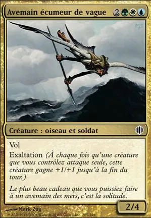 Avemain écumeur de vague
